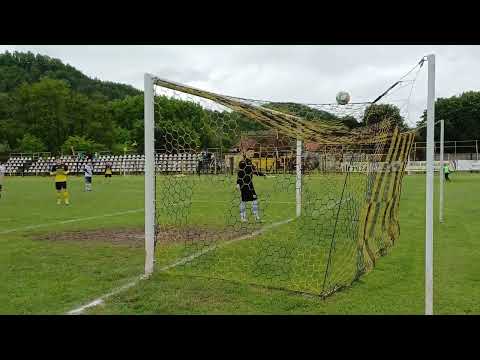 Rezumat Aurul Brad - Retezatul Hateg 1-1