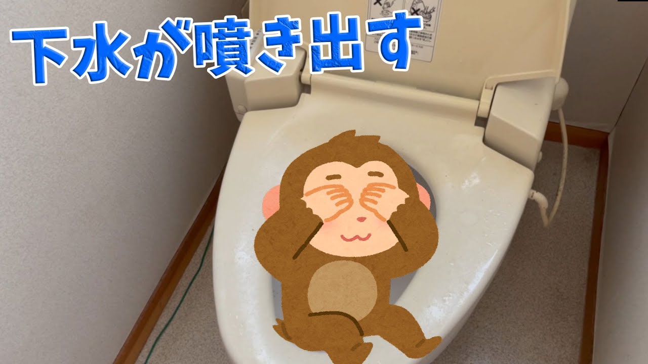 【閲覧注意】欠陥住宅!?2Fのトイレなのに下水が噴き出すトイレ