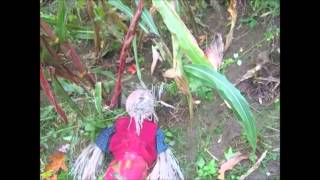 R. Stevie Moore / Don Fleming ~ My Little Lamb (2008)