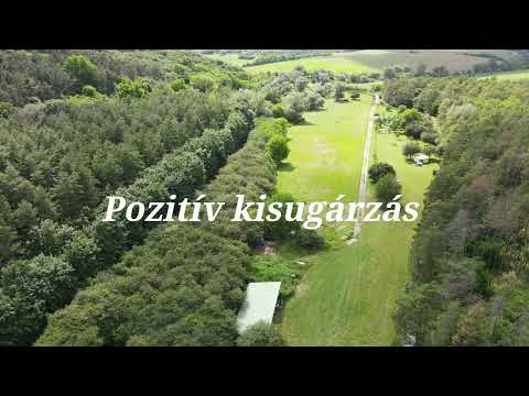 5,2 Hektáros birtok eladó Budapest  közelében