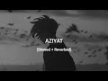 Aziyat Slowed And Reverbed To Kya Hua Tu Mera Nahi