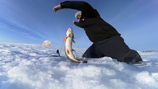 Зимния рыбалка на ириклинском водохранилище