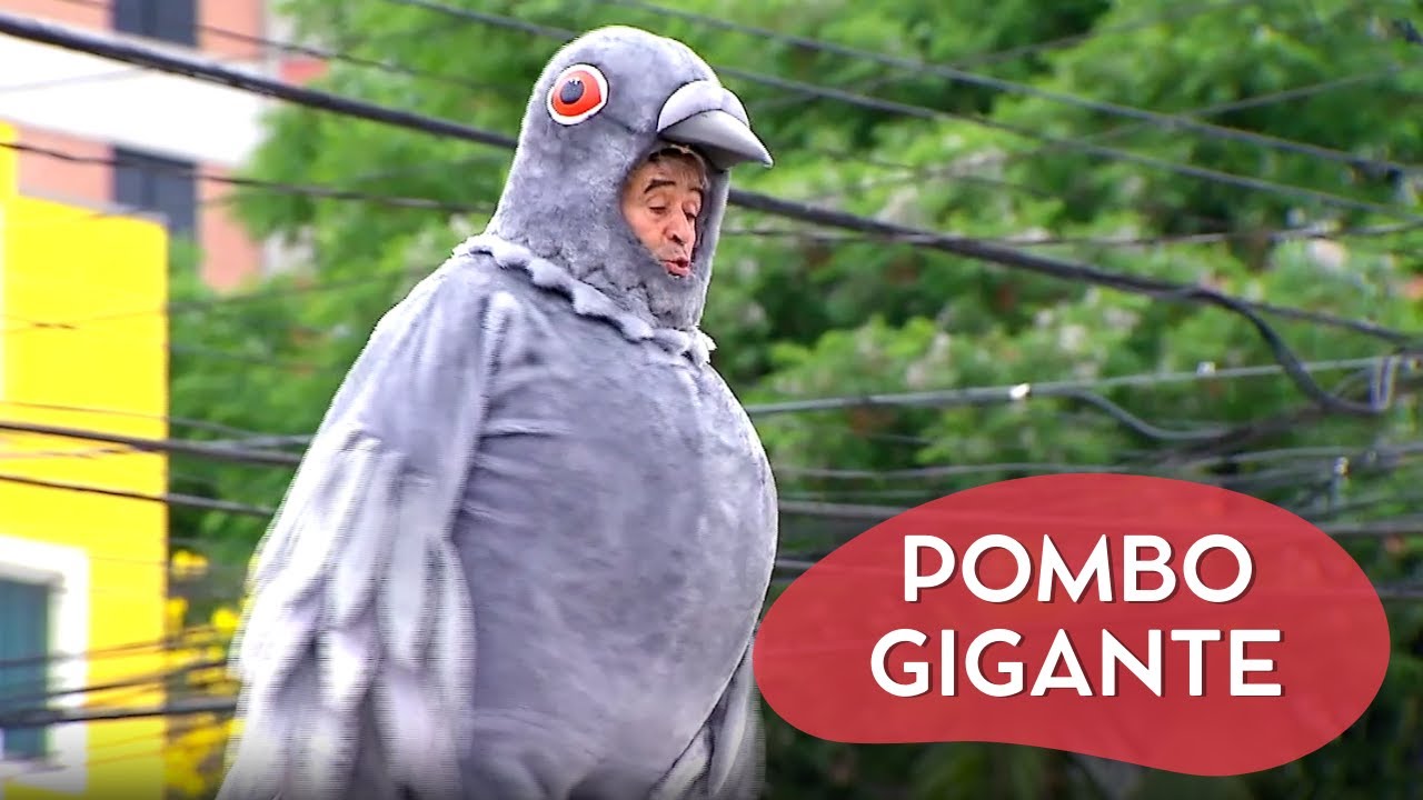 LAVA RÁPIDO, SUJA RÁPIDO | CÂMERAS ESCONDIDAS