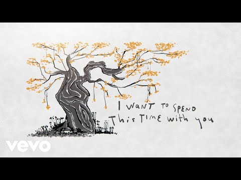 Can't Keep It In - Cat Stevens