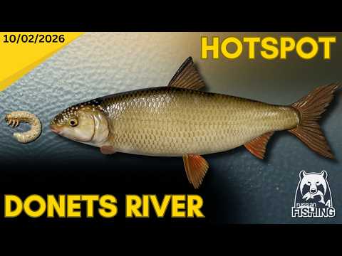 Donets River Black Sea Kutum Hotspot - Russian Fishing 4