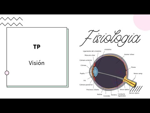 Neurofisiología - Visual - UBA - MEDICINA