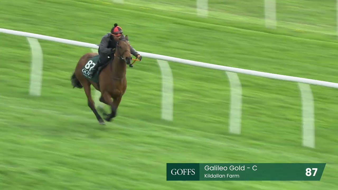 Moorgate Racing Breeze Up Sale 2025 | Lot 87