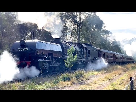 Australian Trains: NSW Steam Locomotives in Action - 2022
