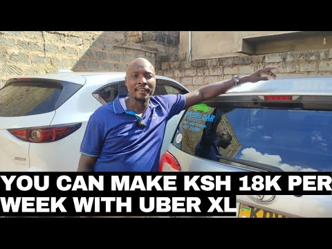 Uber and BOLT XL are cash cows. I make 3k per day for the car owner.