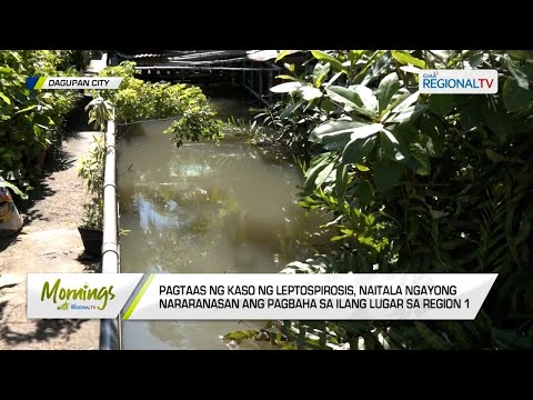 Mornings with GMA Regional TV: Bantay-Leptospirosis