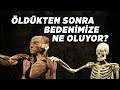 Öldükten Sonra Bedenimize Ne Oluyor?