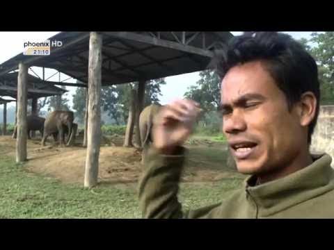 Doku  Straße der Achttausender 4 4 Auf dem Weg zum Kangchendzänga HD