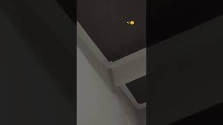 Download lagu Lagu Catatanku - Melly Goeslaw mp3