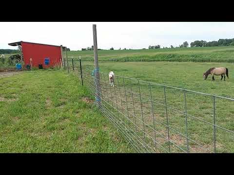 June 8, 2022  Turned Kacie Out With Vicky After Cloud Breading Her