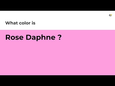 Rose Daphne color #ff9ede hex Cool Red color ff9ede