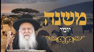 משנה יומי מסכת בבא בתרא פרק ד משנה ז הרב בניהו שמואלי שליטא השיעור היומי כא חשון התשפ"ה