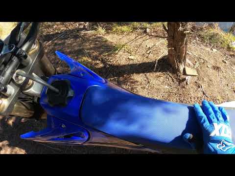 Family Affair @ Scipio 12 21 2020