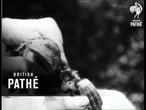 There Ain't No Such Animal (1932)