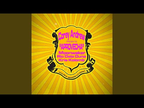 Aprovecha! (Nick Waters/David Hopperman/Stephane Karl Remix)