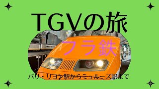 【フランスTGV】パリ・リヨン駅からミュルーズ駅まで