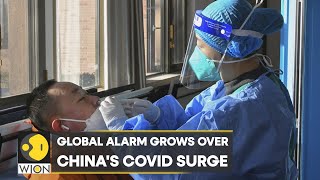 China's Covid surge triggers global alarm | International News | English News | Top News