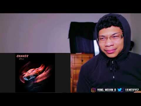 Bris snakes Reaction