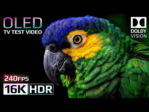 The Coolest 16K Video ULTRA HD 240FPS | Dolby Vision HDR 16K