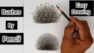 How to draw bushes by pencil for beginners.