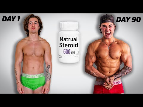 I Took Natural Steroids for 90 Days and This Happened…