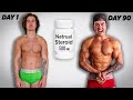 90 DAY NATURAL STEROID TRANSFORMATION