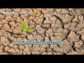 Mathadu Saaku Mouna Bisaku Lyrical Video Song Karya Movie Kannada