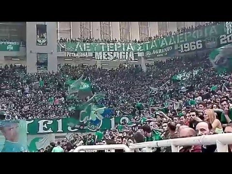 Panathinaikos-Cedevita Horto magiko