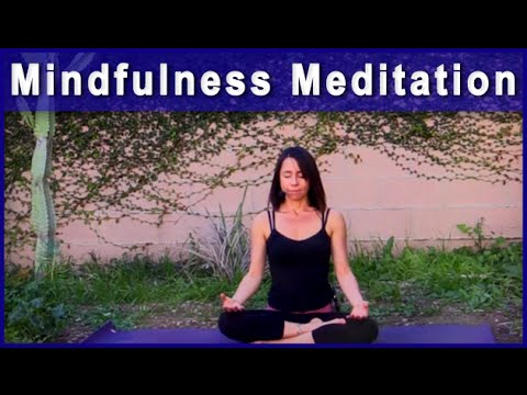ॐ Mindfulness Meditation with Michelle Goldstein  (18 minutes) Video