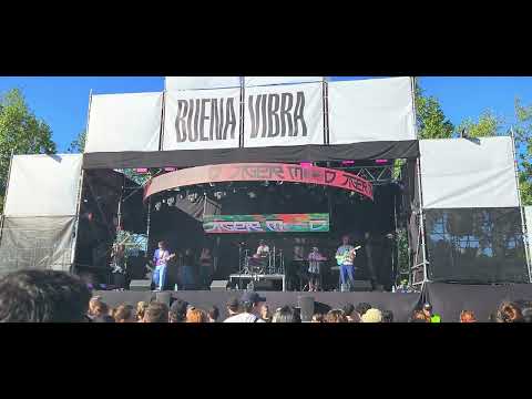 Tiger Mood - La Semilla - Festival Buena Vibra 22/2/25
