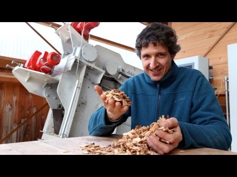 Neuartige Trocknungsmethode für Holz: Gequetscht, nicht geföhnt | DER SPIEGEL