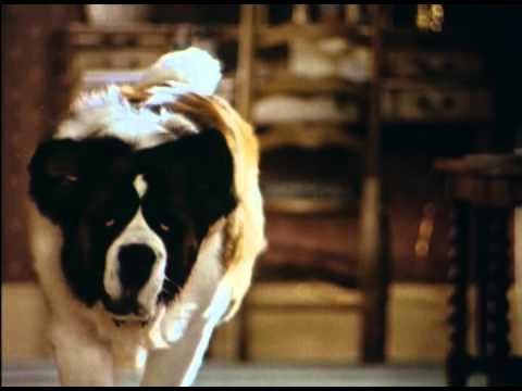 Beethoven's 2nd (1993) Official Trailer