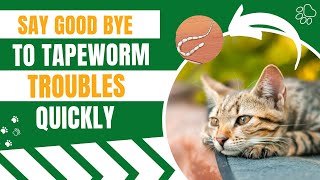 Best Remedies To Treat Tapeworm In Cats
