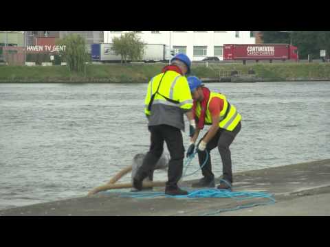 HavenTV Gent 1 september 2016: nieuwe havenkraan ArcelorMittal, cijfer ‘404’ en verlenging Primula