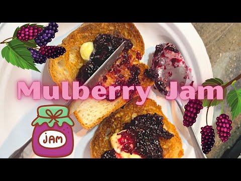 How To Make Jam  - Mulberry Jam Recipe