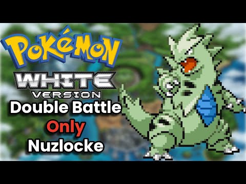 A Double Battle Only Nuzlocke