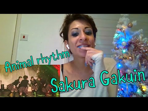 Dancer Reacts to SAKURA GAKUIN - ANIMAL RHYTHM (SG 2020) First Time Reaction!