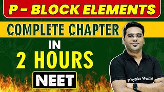 P- BLOCK ELEMENTS in 2 Hours || Complete Chapter for NEET