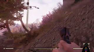 The sweet summer sounds, of Cicadas