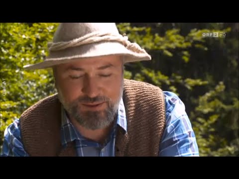 Zurück zur Natur:  Kleinwalsertal