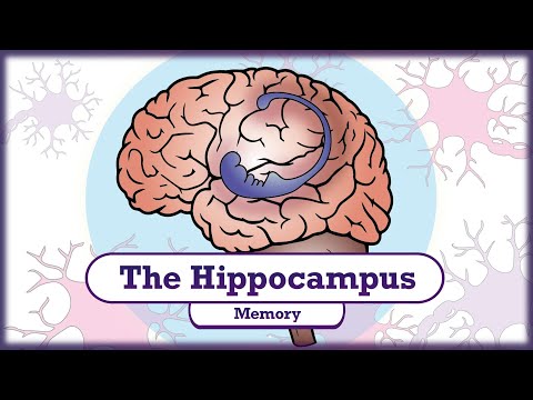 Memory and the Hippocampus