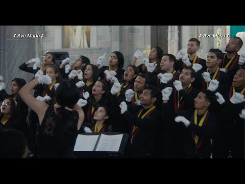 Tráiler de El canto de las manos