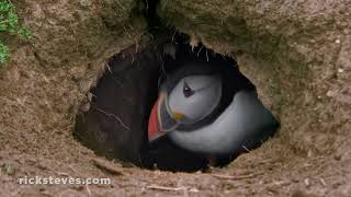 Iceland’s Westman Islands