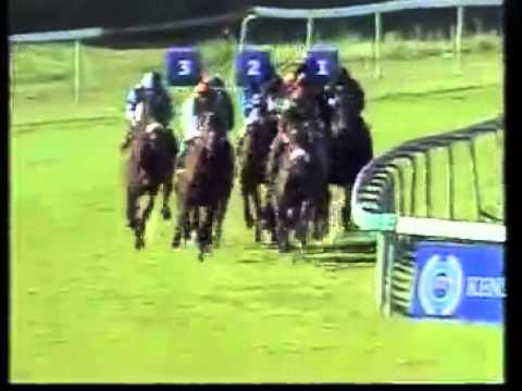 Recall To Life - 4th win - Racing Association