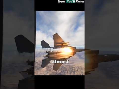 F-15 Eagle USAF. The Undefeated💥👀