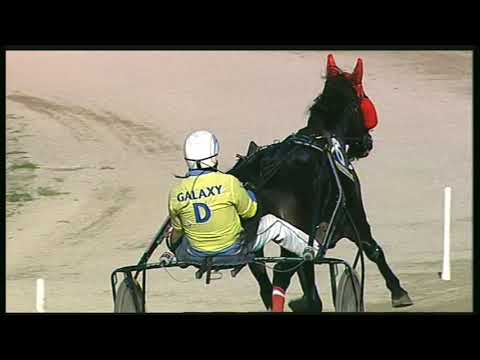 Trotto 08/11/2020 - 2ª corsa